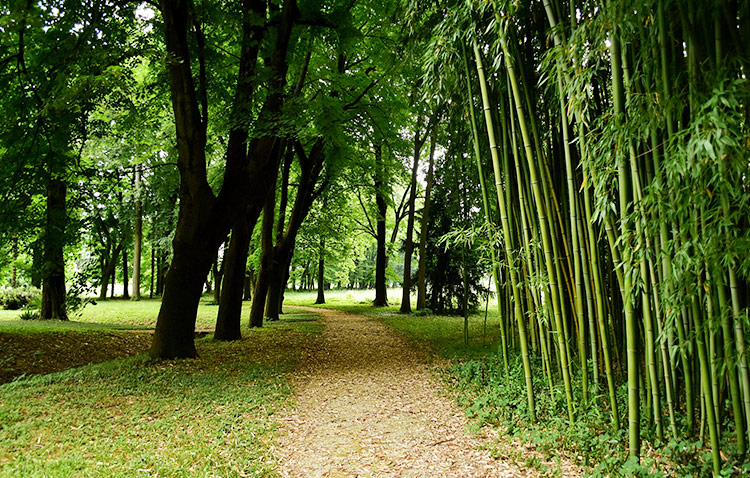 Picnic al Parco Iachia